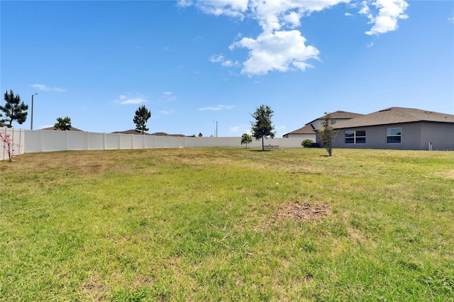 13506 Wild Ginger St, Riverview, FL 33579 - view of yard