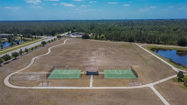 13506 Wild Ginger St, Riverview, FL 33579 - aerial view of a forest