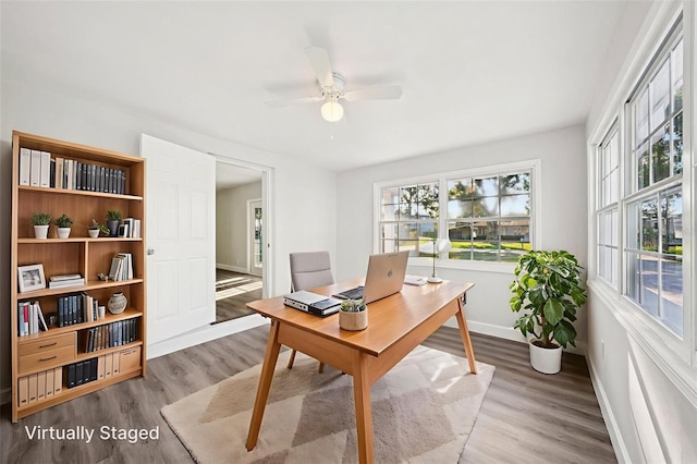 2288 Cheryl Rd, Largo, FL 33771 - photo 10