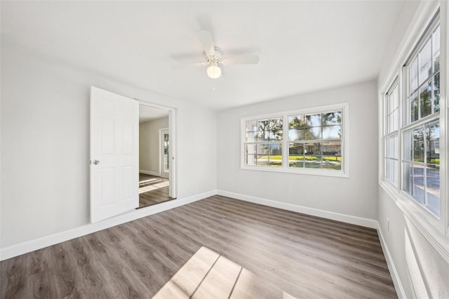2288 Cheryl Rd, Largo, FL 33771 - photo 11