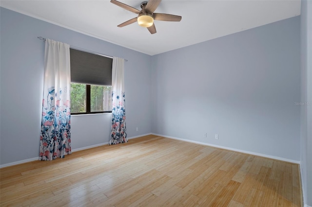 15630 N Himes Ave, Tampa, FL 33618 - spare room featuring wood finished floors, baseboards, and ceiling fan