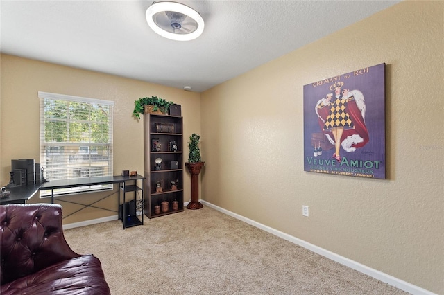carpeted office space with a textured wall and baseboards