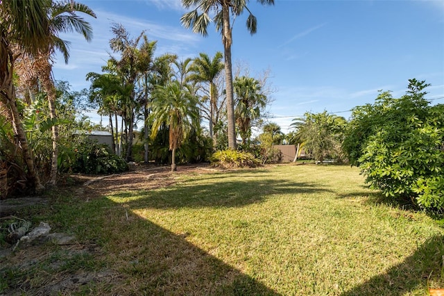 view of yard