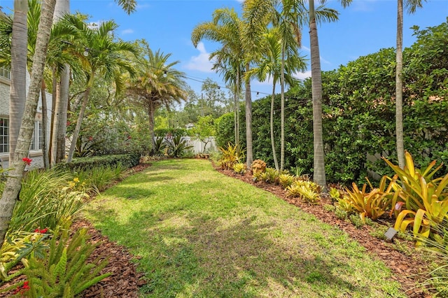 356 22nd Ave NE, Saint Petersburg, FL 33704 - photo 51