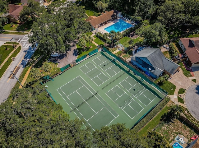 678 Greenglen Ln, Palm Harbor, FL 34684 - aerial view of a pool