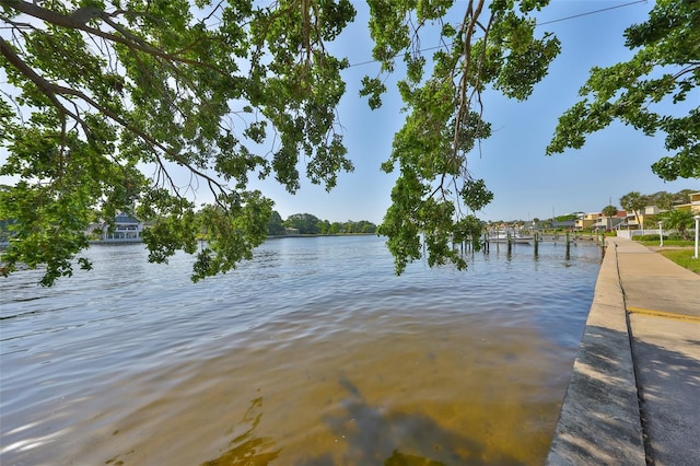 2424 W Tampa Bay Blvd Unit I202, Tampa, FL 33607 - water view with a boat dock