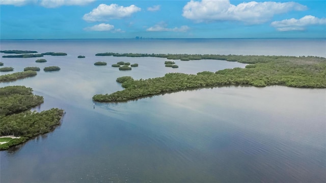 814 Seabreeze Dr, Ruskin, FL 33570 - aerial view of a nearby body of water