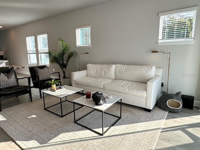 living room featuring baseboards and wood finished floors