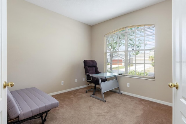 carpeted home office with baseboards