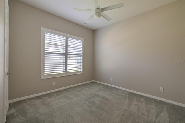 16106 Cedar Key Dr, Wimauma, FL 33598 - photo 44