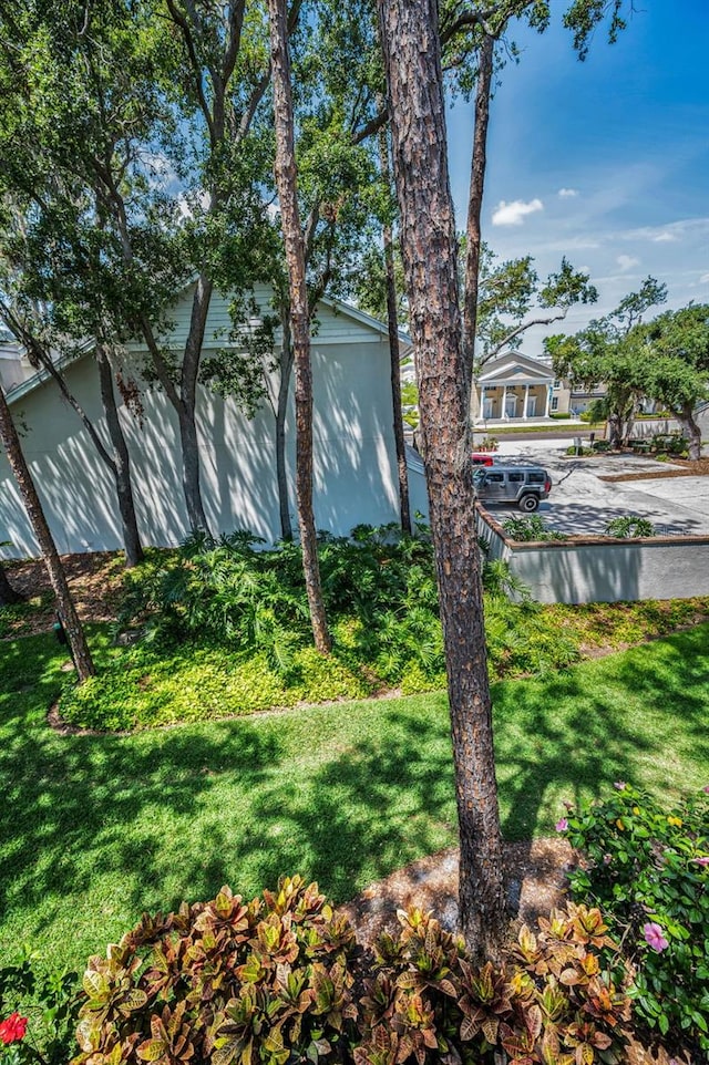 5115 S Jules Verne Ct, Tampa, FL 33611 - view of yard