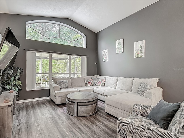 living area featuring vaulted ceiling, wood finished floors, a textured ceiling, and plenty of natural light