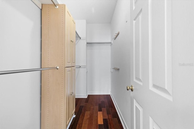 walk in closet with dark wood-style flooring