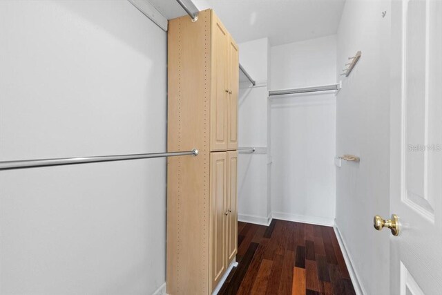 walk in closet with dark wood-style floors