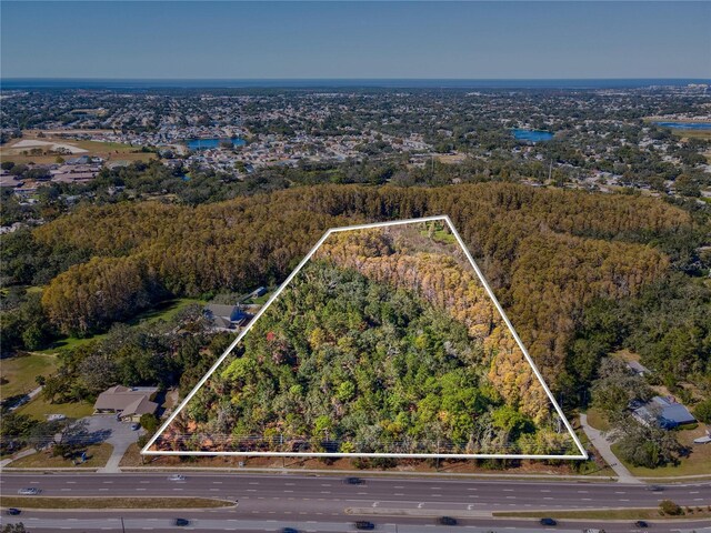Little Rd, New Port Richey, FL 34654 - photo 5