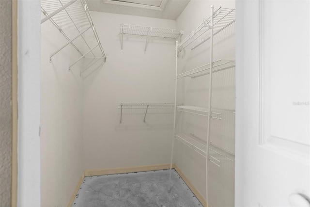 1046 Almondwood Dr, Trinity, FL 34655 - view of spacious closet