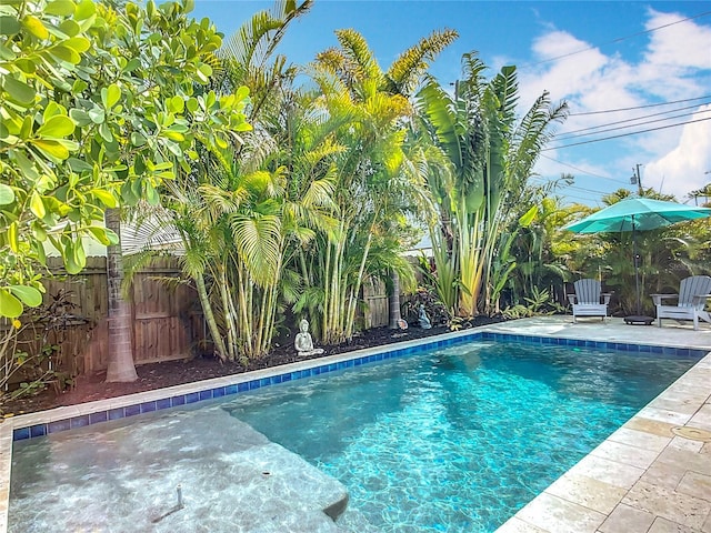4231 8th St N, Saint Petersburg, FL 33703 - view of pool with a patio area, a fenced in pool, and a fenced backyard