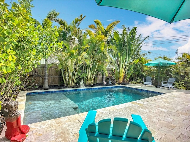 4231 8th St N, Saint Petersburg, FL 33703 - view of swimming pool with a fenced backyard, a patio area, and a fenced in pool