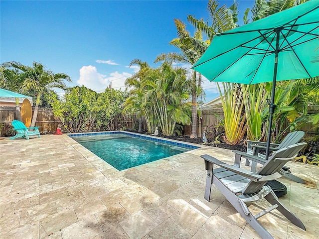 4231 8th St N, Saint Petersburg, FL 33703 - view of swimming pool featuring a patio area, a fenced in pool, and a fenced backyard