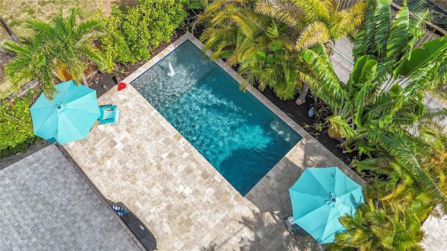 4231 8th St N, Saint Petersburg, FL 33703 - outdoor pool with a patio