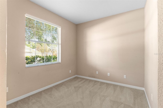 empty room featuring baseboards, light colored carpet, and a wealth of natural light