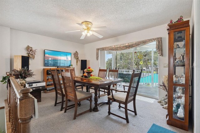 1842 Bayou Grande Blvd NE, Saint Petersburg, FL 33703 - photo 8