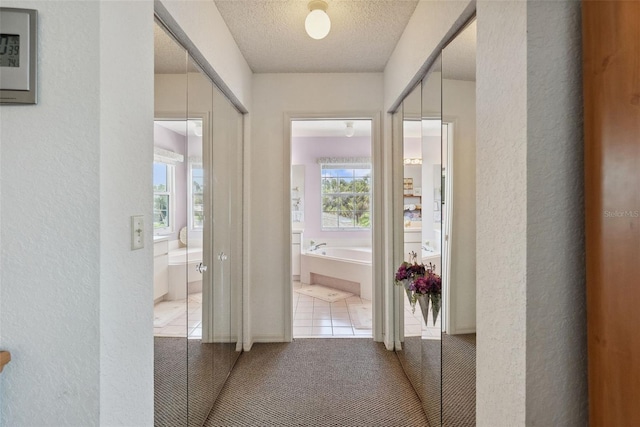 1842 Bayou Grande Blvd NE, Saint Petersburg, FL 33703 - photo 22