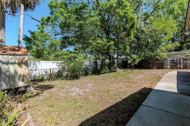 view of yard featuring a patio and a fenced backyard