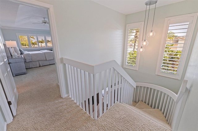 stairway with a ceiling fan and carpet floors