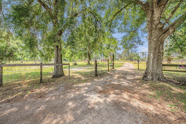 18838 Huckavalle Rd, Odessa, FL 33556 - photo 4