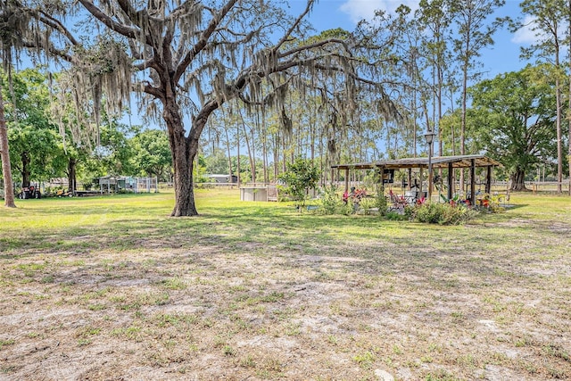 18838 Huckavalle Rd, Odessa, FL 33556 - photo 15