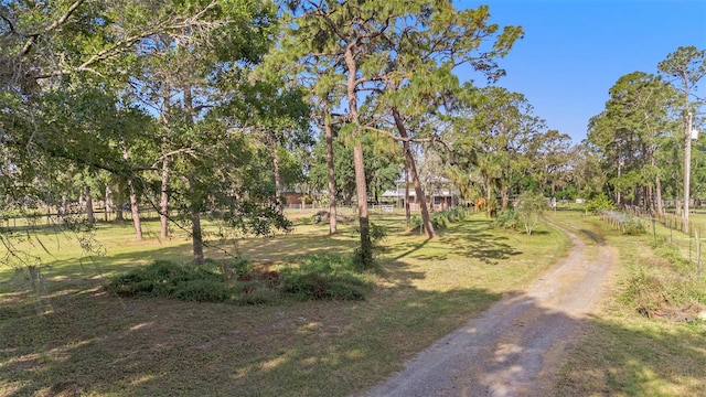 18838 Huckavalle Rd, Odessa, FL 33556 - photo 22