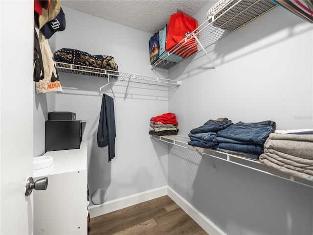 walk in closet featuring wood finished floors