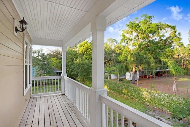 923 Lumsden Reserve Dr, Brandon, FL 33511 - photo 27