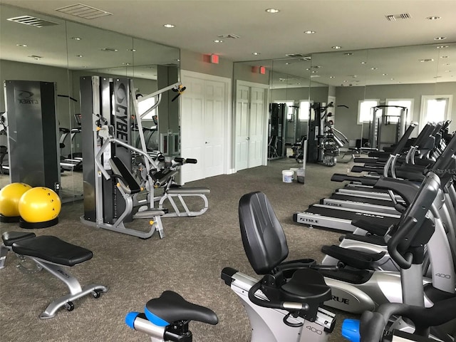 4456 Globe Thistle Dr, Tampa, FL 33619 - workout area featuring recessed lighting