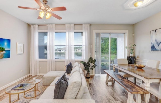 living room featuring ceiling fan and wood finished floors