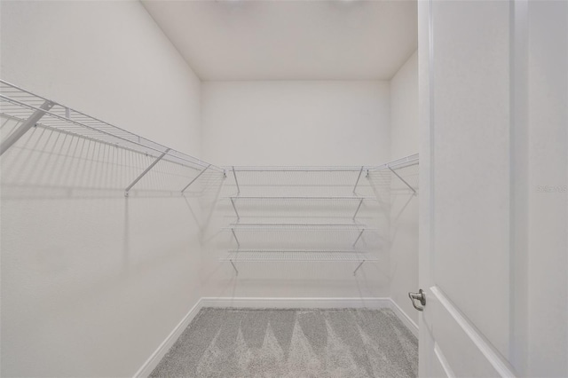 36959 Highland Meadows Ct, Zephyrhills, FL 33542 - walk in closet featuring carpet floors