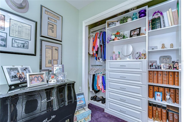view of closet
