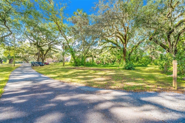 11433 Weldon St, Seffner, FL 33584 - photo 2