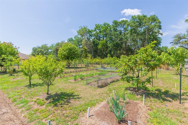 view of yard with a vegetable garden