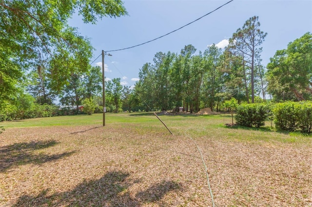 view of yard