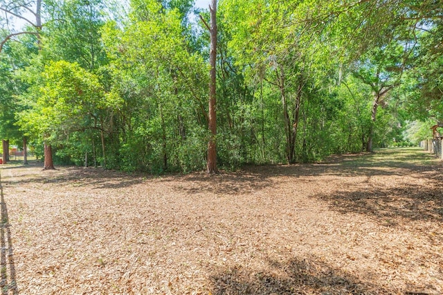 view of local wilderness
