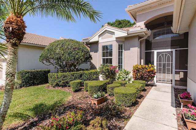 doorway to property featuring stucco siding and a tile roof