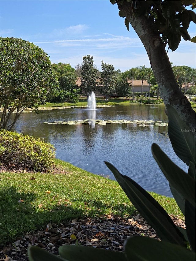 view of water feature