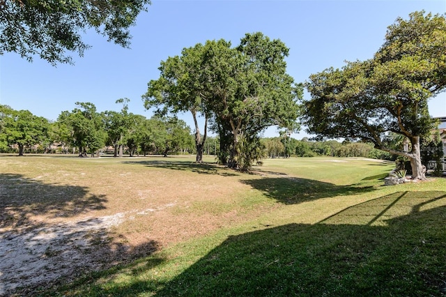 3964 Silk Oak Ln, Palm Harbor, FL 34685 - view of grassy yard featuring view of wooded area