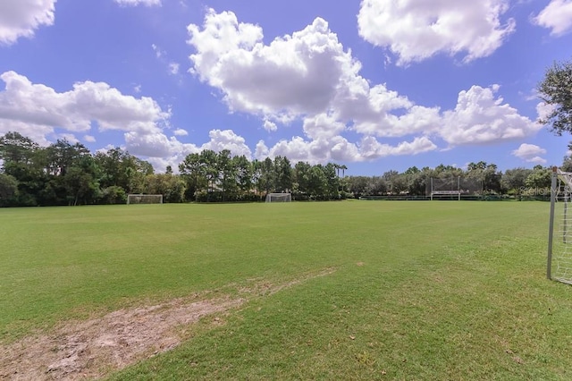 3964 Silk Oak Ln, Palm Harbor, FL 34685 - view of property's community with an area for sports and view of wooded area