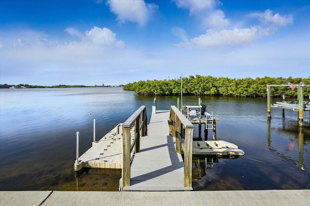 6627 Dolphin Cove Dr, Apollo Beach, FL 33572 - dock with a water view and boat lift
