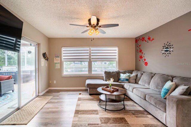 2460 Beacon Groves Blvd, Palm Harbor, FL 34683 - living room with a textured ceiling, ceiling fan, plenty of natural light, and wood finished floors