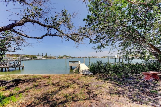 dock area with a water view