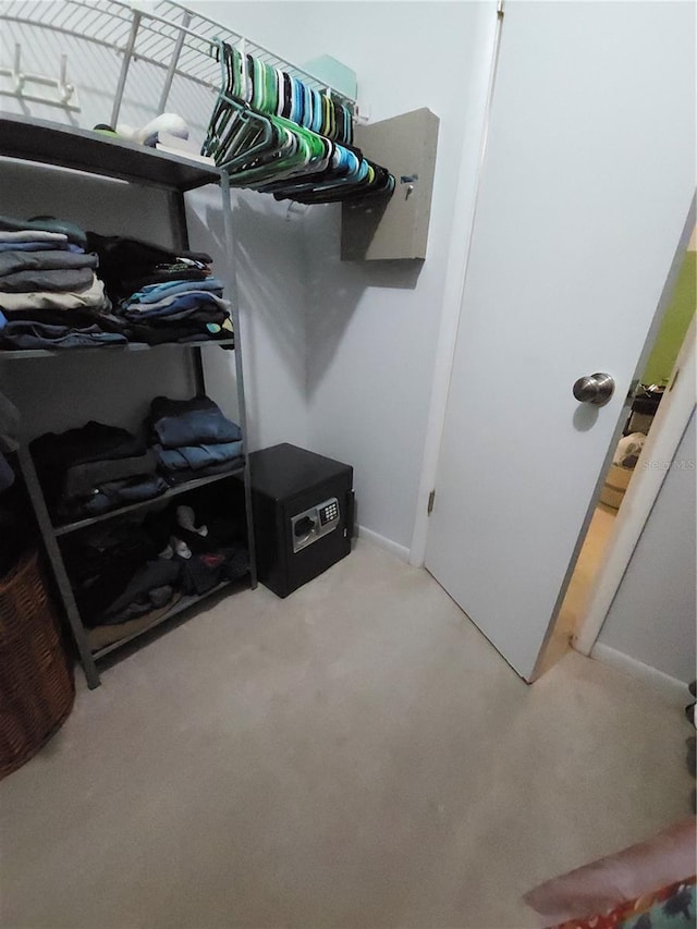spacious closet with carpet